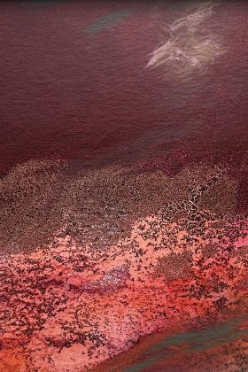 2026 | Acryl auf Leinwand | A5